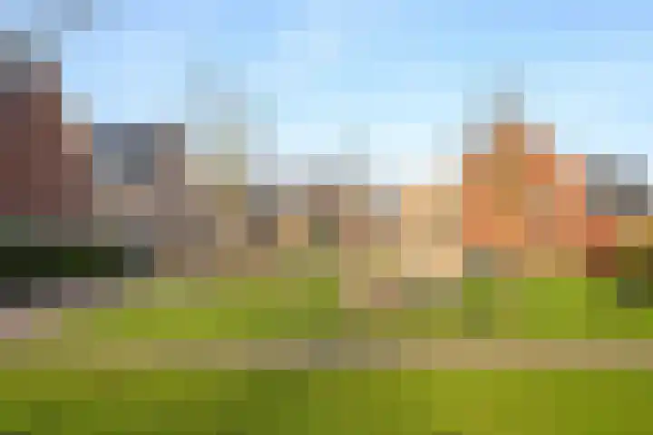 Steur 12 Schagen thumbnail 24