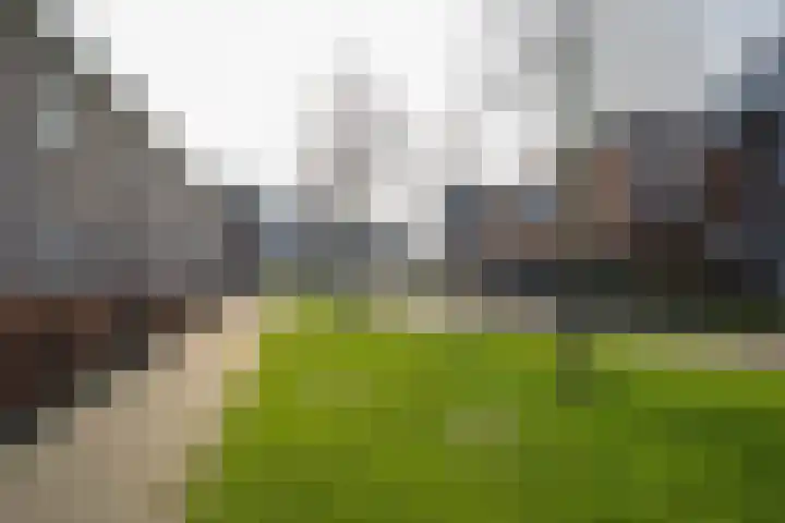 Steur 12 Schagen thumbnail 25