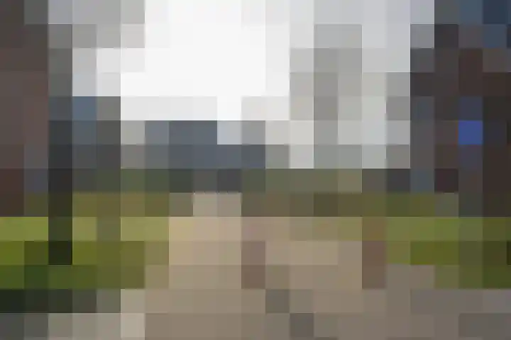 Steur 12 Schagen thumbnail 26