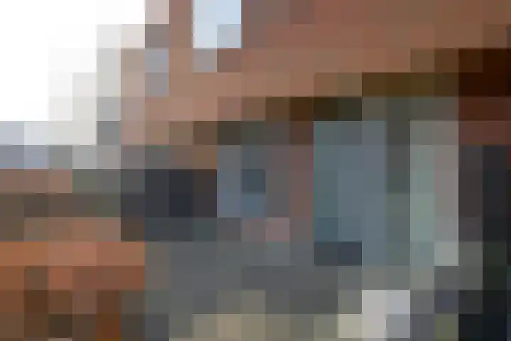 Steur 12 Schagen thumbnail 4