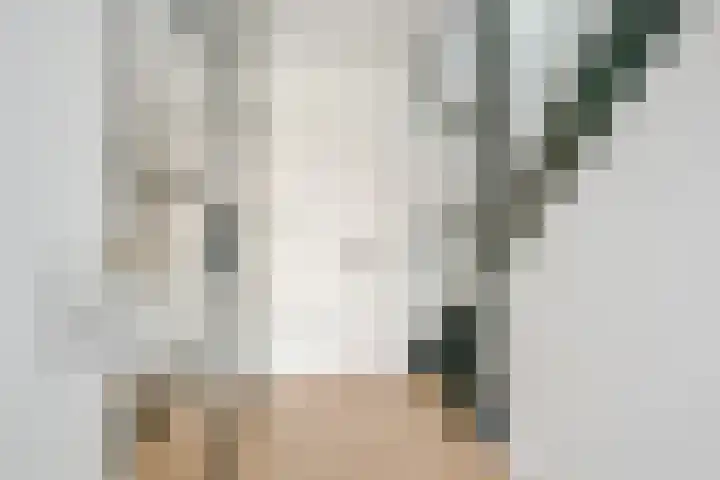 Steur 12 Schagen thumbnail 5
