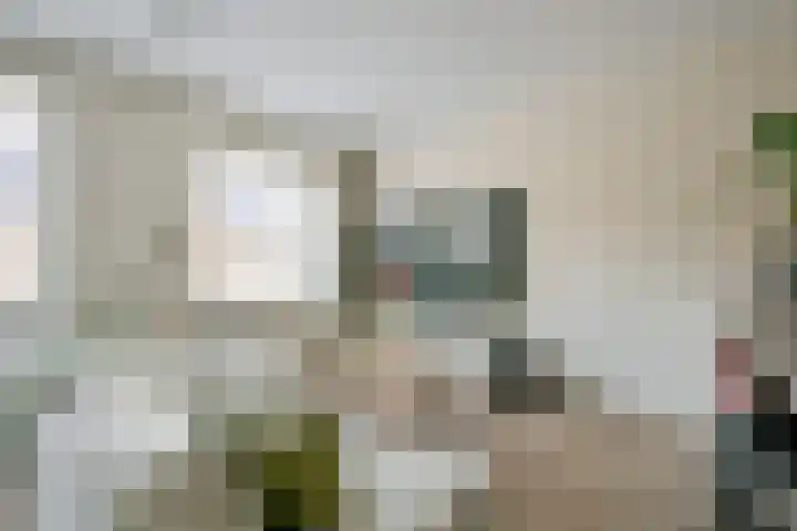 Steur 12 Schagen thumbnail 7