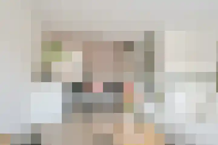 Steur 12 Schagen thumbnail 8