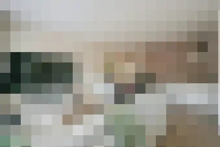 Steur 12 Schagen thumbnail 9