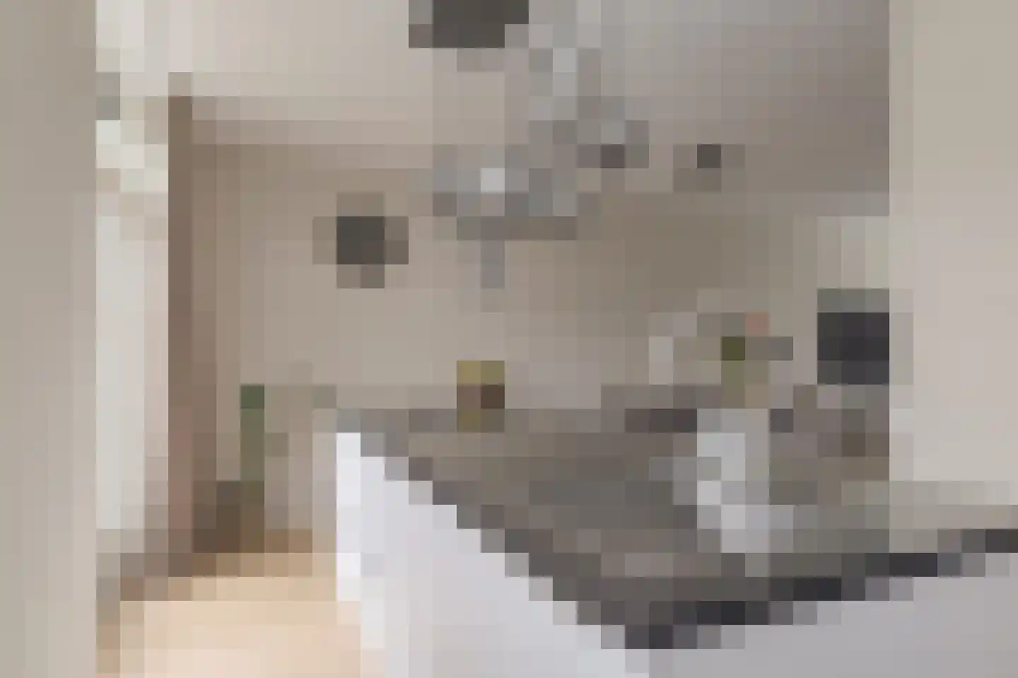 Steur 124 Ridderkerk thumbnail 17