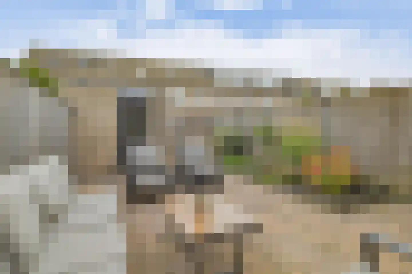 Steur 124 Ridderkerk thumbnail 33