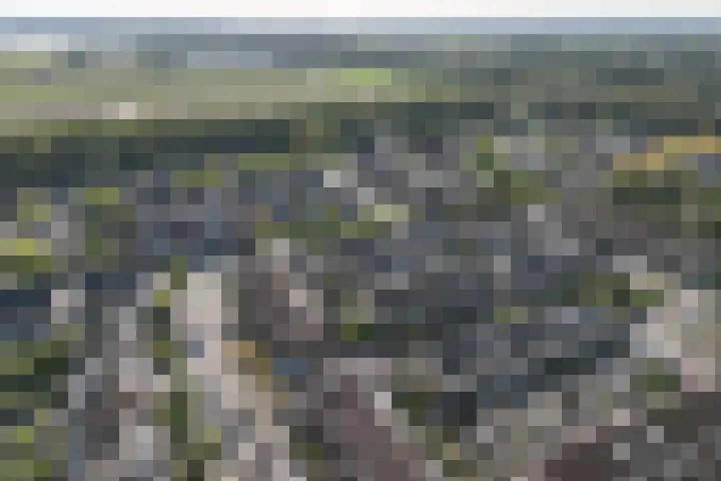 Steur 124 Ridderkerk thumbnail 37