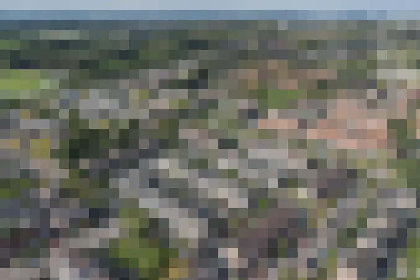 Steur 124 Ridderkerk thumbnail 38