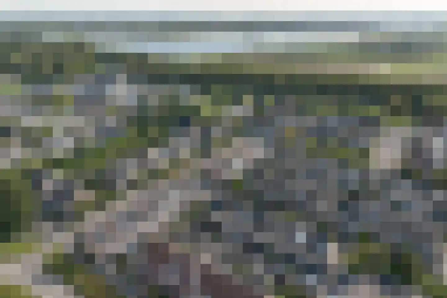 Steur 124 Ridderkerk thumbnail 6