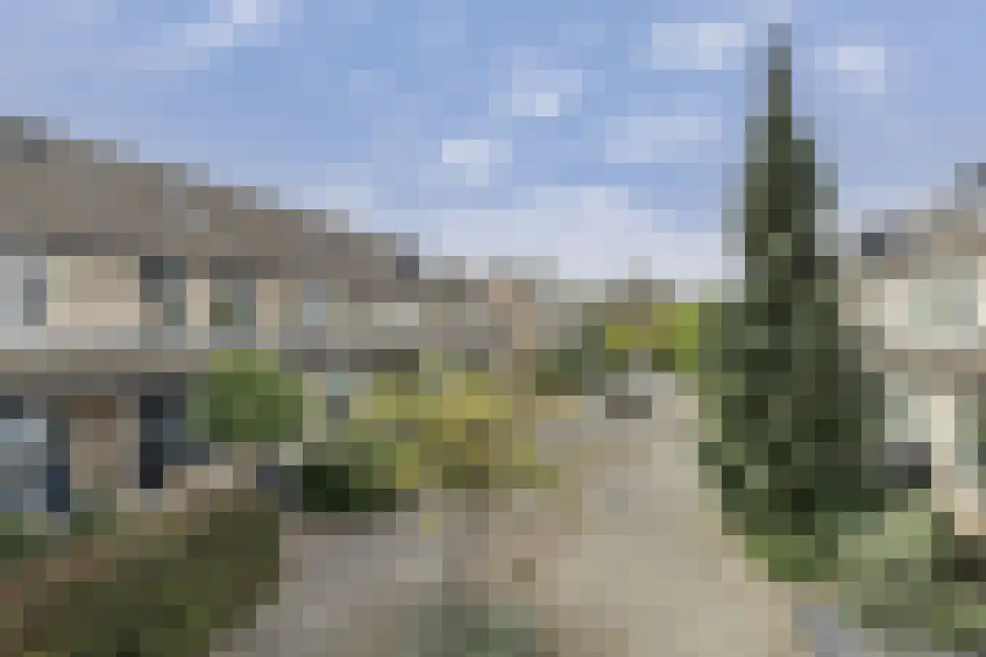 Steur 124 Ridderkerk thumbnail 7