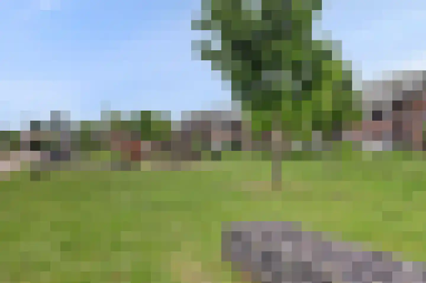 Steur 128 Hendrik-Ido-Ambacht thumbnail 5