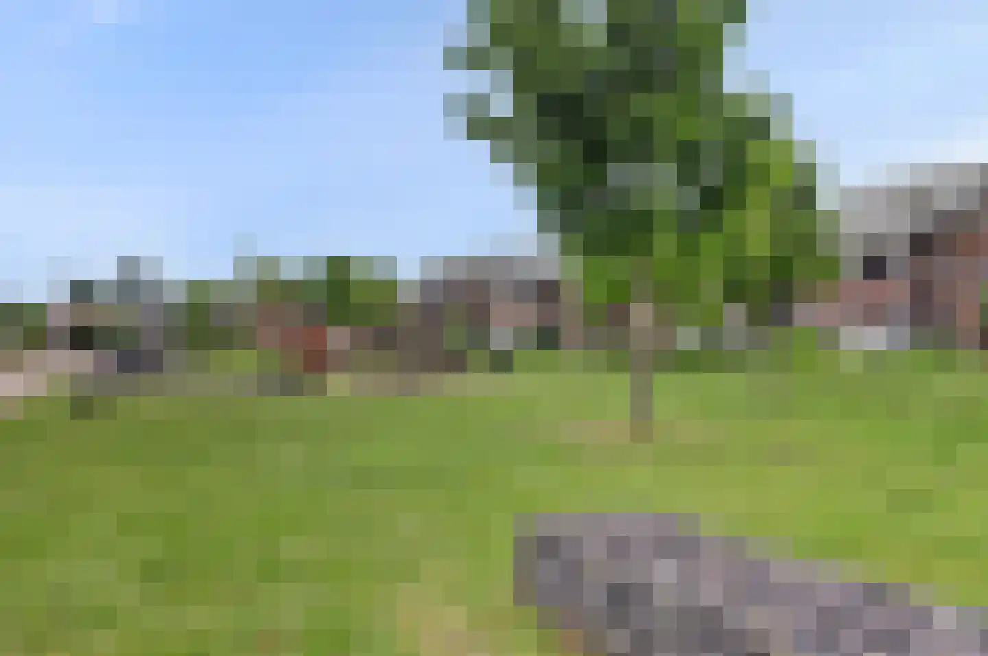 Steur 128 Hendrik-Ido-Ambacht thumbnail 5
