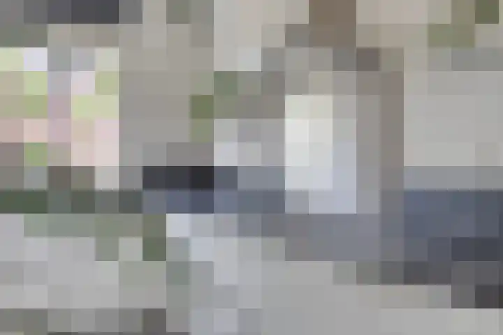 Steur 146 Hendrik-Ido-Ambacht thumbnail 10