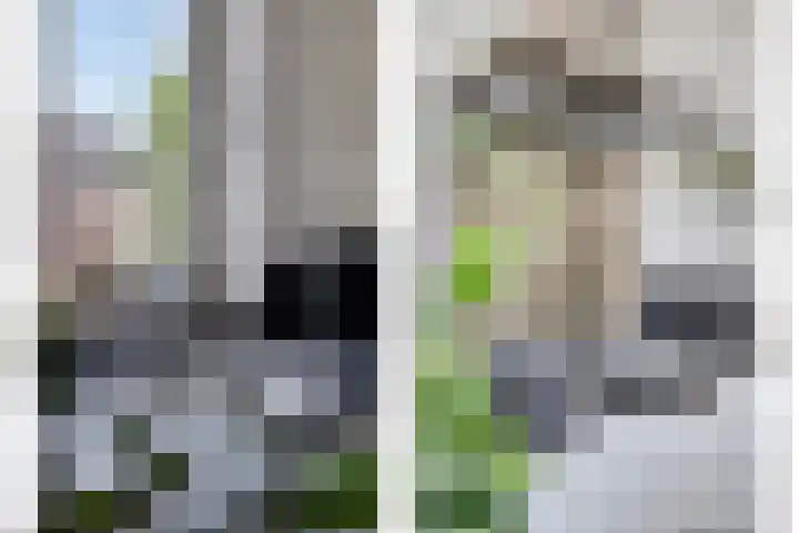 Steur 146 Hendrik-Ido-Ambacht thumbnail 13