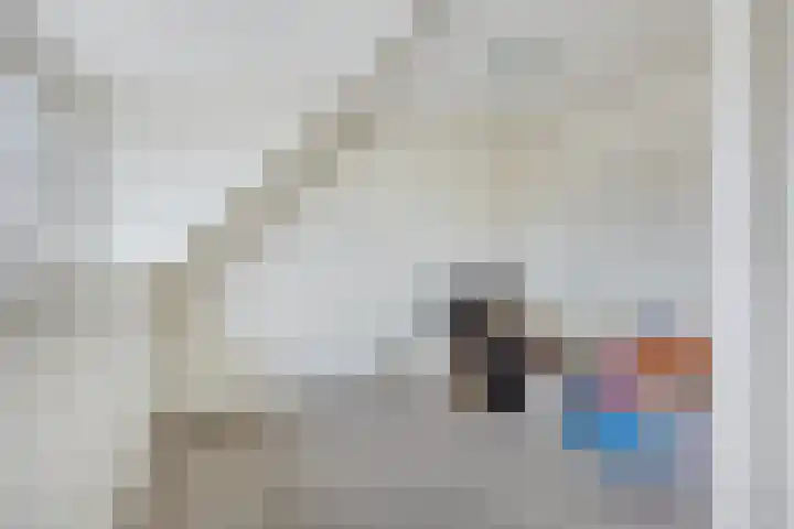 Steur 146 Hendrik-Ido-Ambacht thumbnail 22