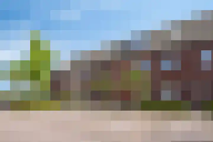 Steur 146 Hendrik-Ido-Ambacht thumbnail 28