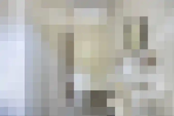 Steur 146 Hendrik-Ido-Ambacht thumbnail 7