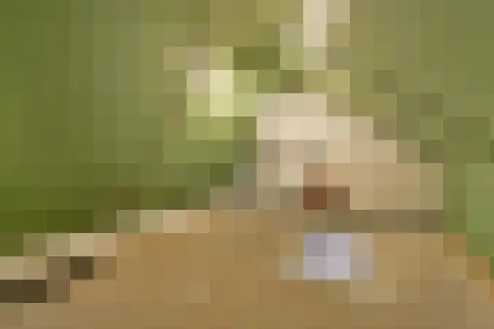 Steur 31 Hendrik-Ido-Ambacht thumbnail 17