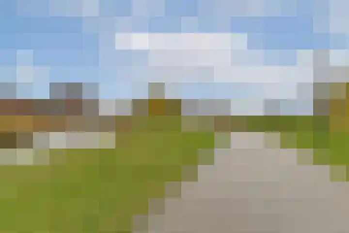 Steur 31 Hendrik-Ido-Ambacht thumbnail 21