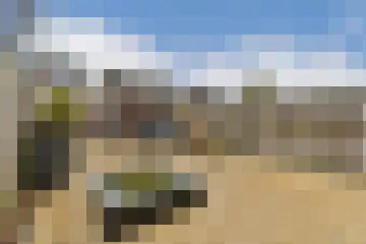 Steur 31 Hendrik-Ido-Ambacht thumbnail 5
