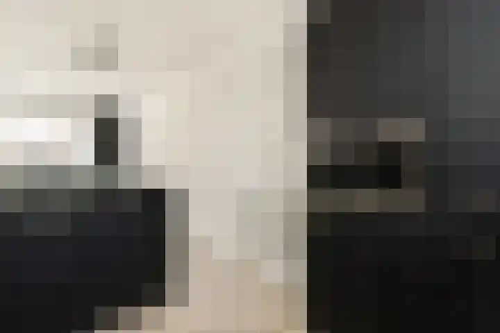 Steur 31 Hendrik-Ido-Ambacht thumbnail 8