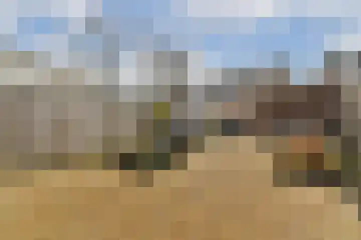 Steur 31 Hendrik-Ido-Ambacht thumbnail 9