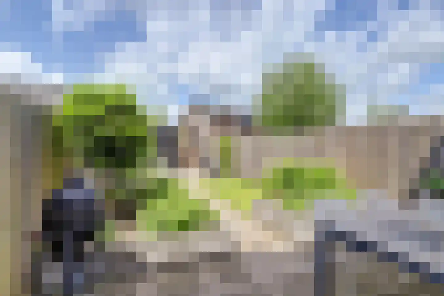 Steur 51 Hendrik-Ido-Ambacht thumbnail 6