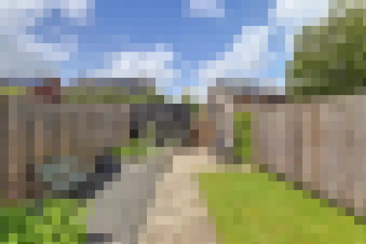 Steur 51 Hendrik-Ido-Ambacht thumbnail 8