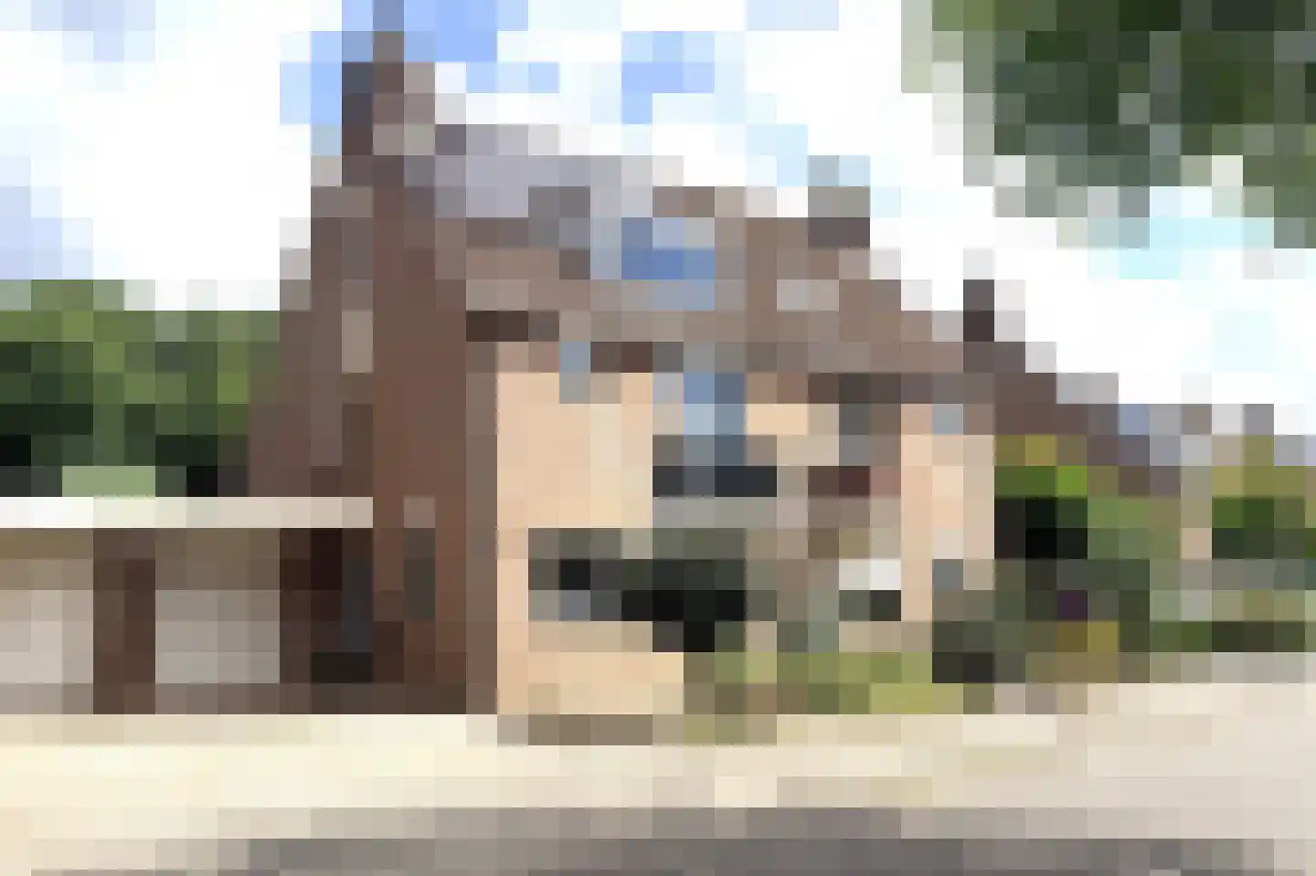 Steur 60 Ridderkerk