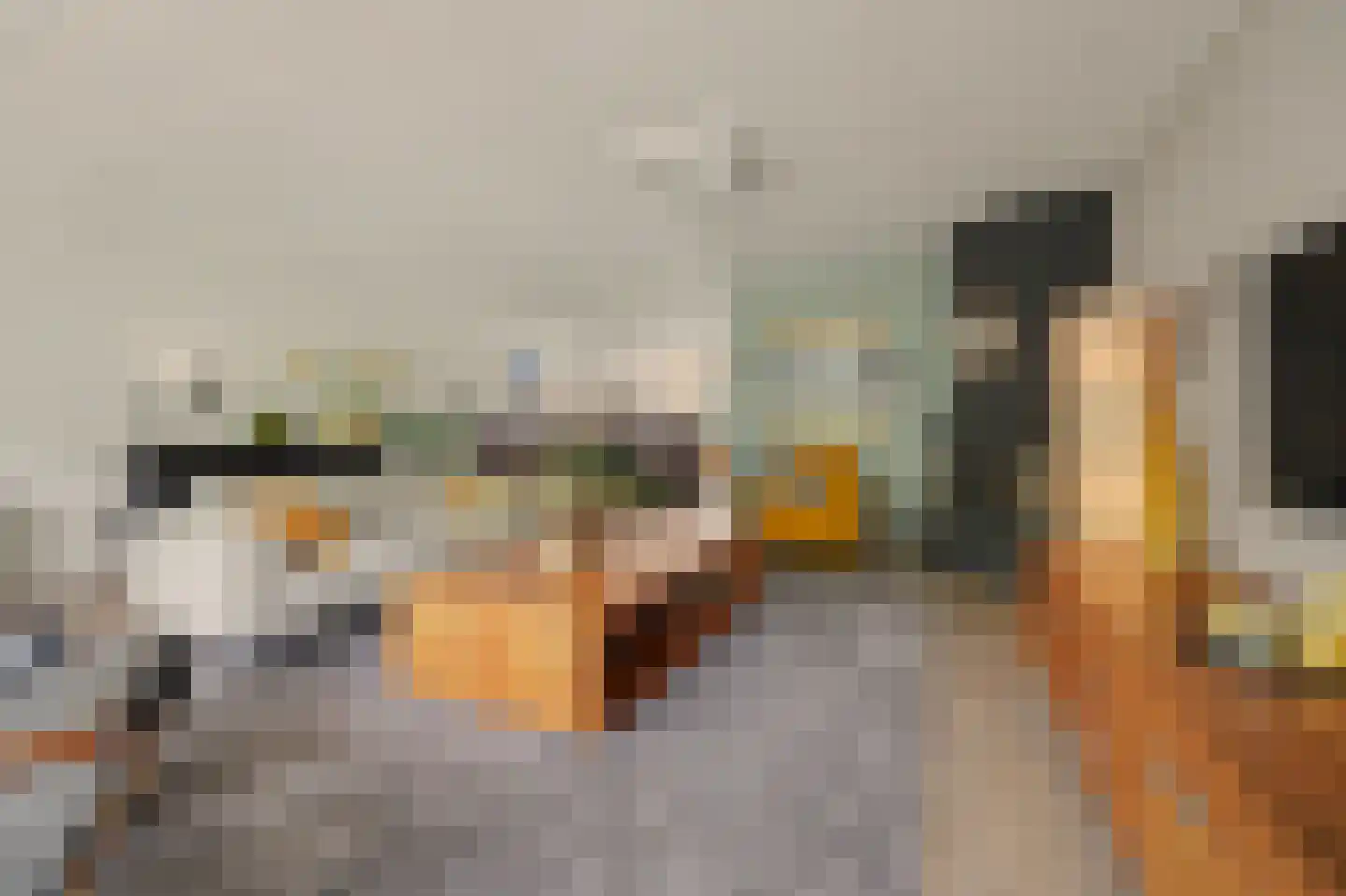 Steur 60 Ridderkerk thumbnail 11