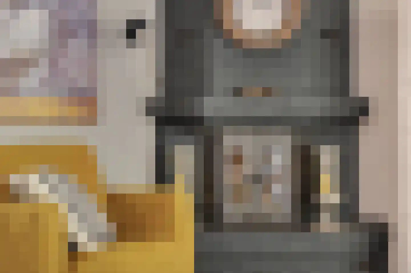 Steur 60 Ridderkerk thumbnail 13