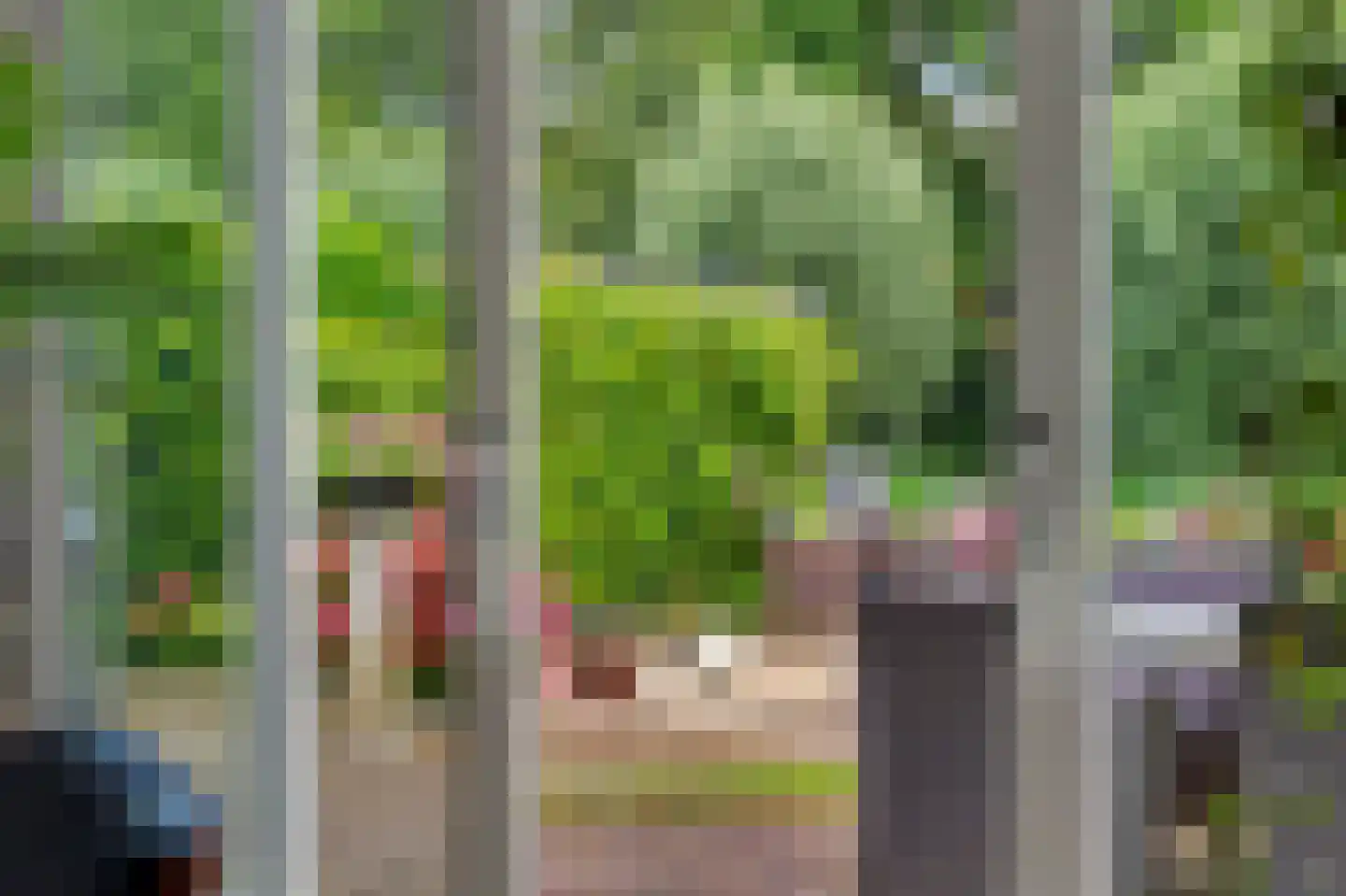 Steur 60 Ridderkerk thumbnail 15
