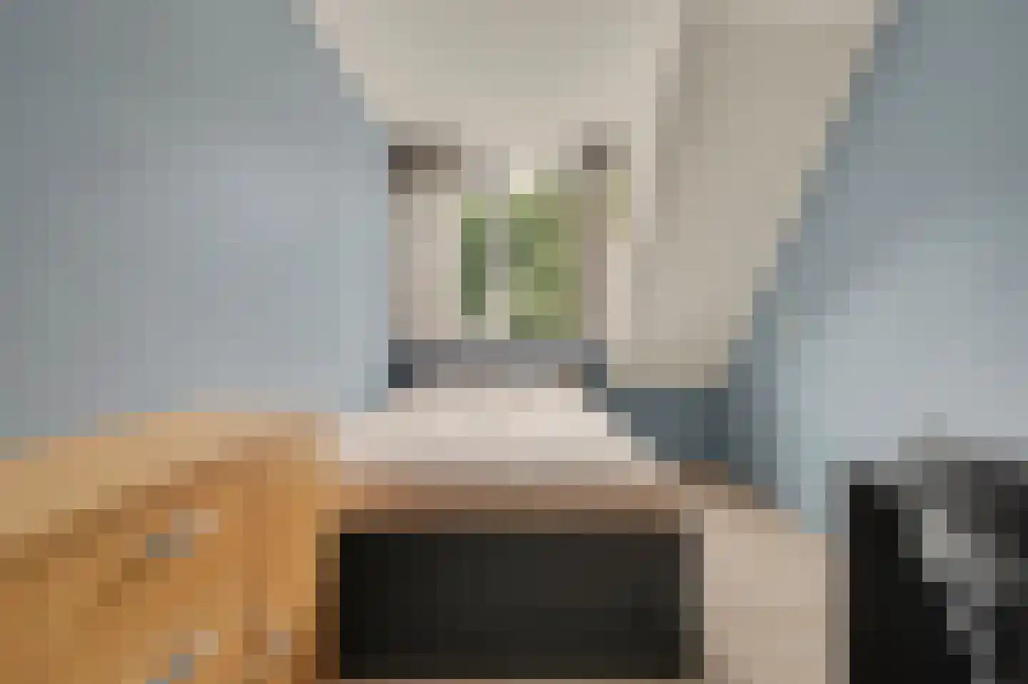 Steur 60 Ridderkerk thumbnail 23