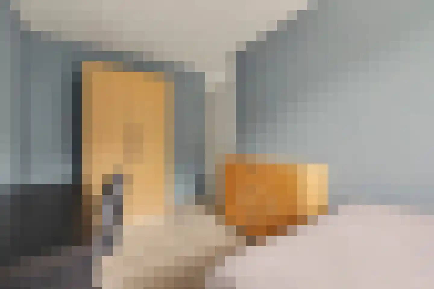 Steur 60 Ridderkerk thumbnail 24