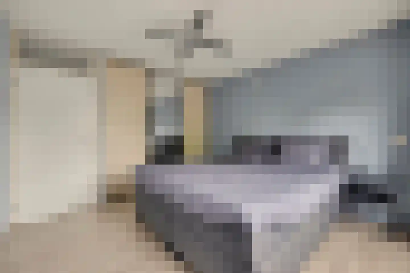Steur 60 Ridderkerk thumbnail 29