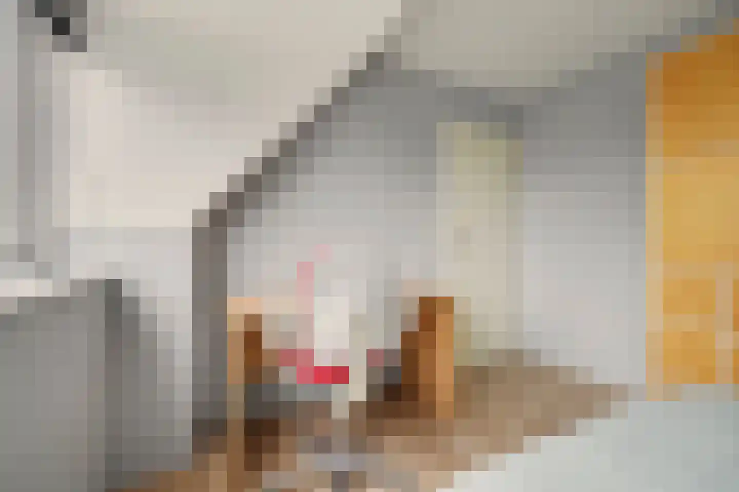 Steur 60 Ridderkerk thumbnail 38