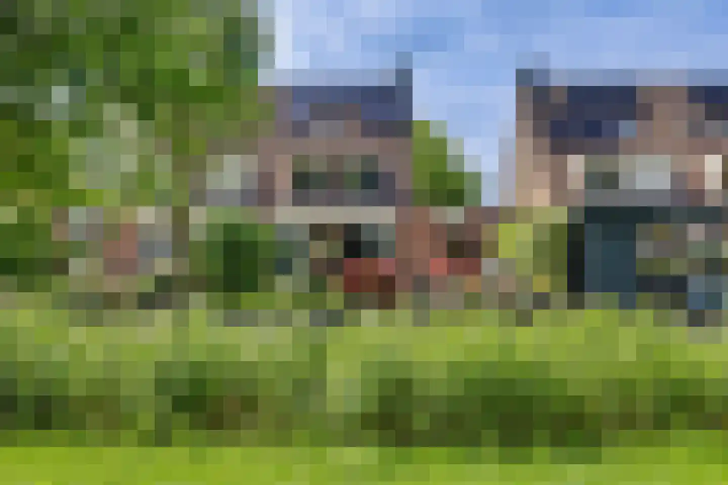 Steur 60 Ridderkerk thumbnail 4