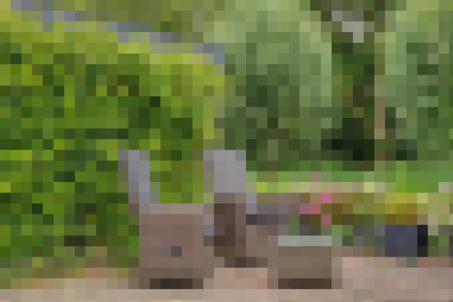 Steur 60 Ridderkerk thumbnail 45
