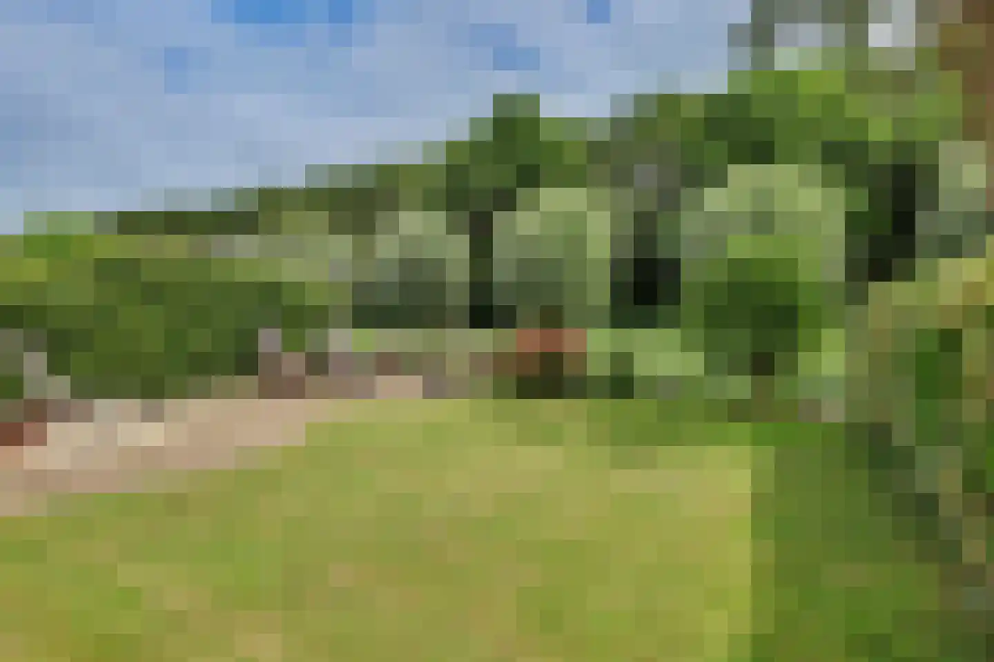 Steur 60 Ridderkerk thumbnail 46