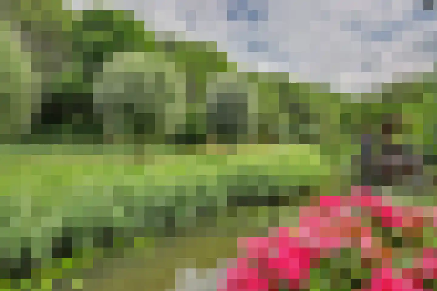Steur 60 Ridderkerk thumbnail 48