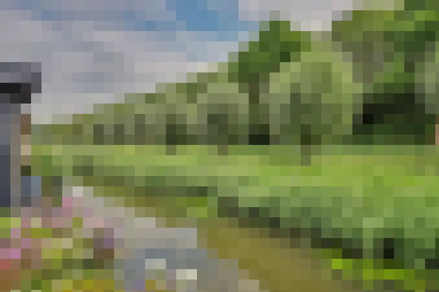 Steur 60 Ridderkerk thumbnail 49