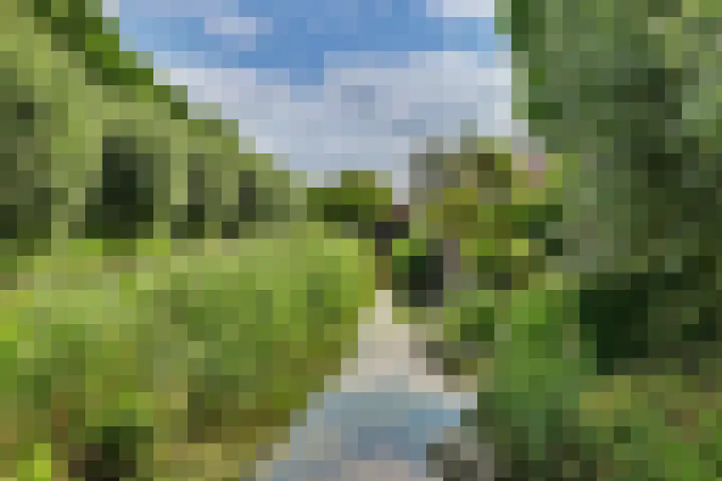 Steur 60 Ridderkerk thumbnail 50