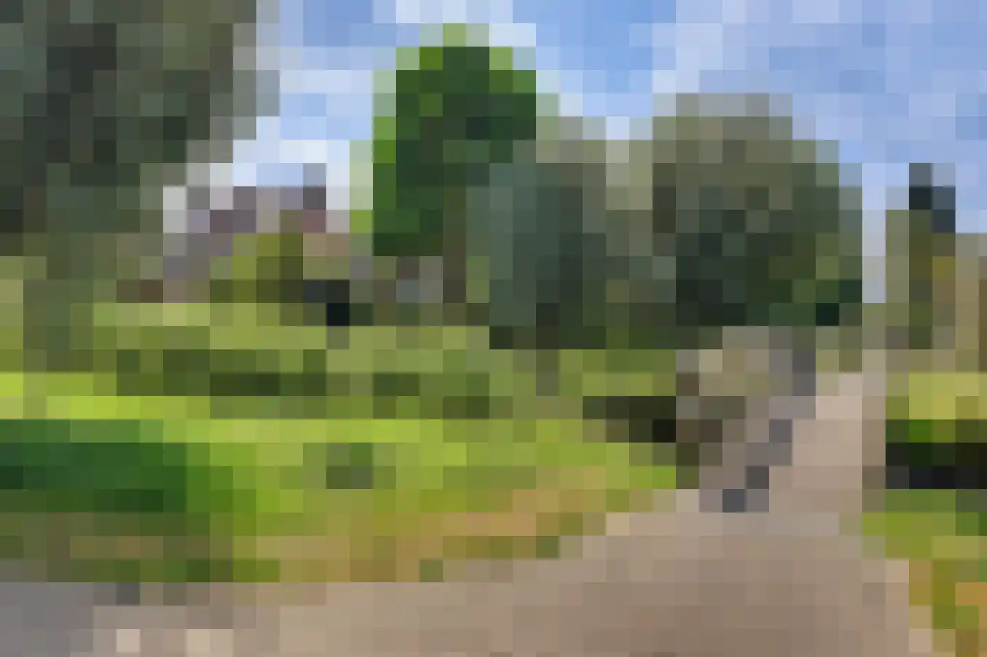 Steur 60 Ridderkerk thumbnail 51