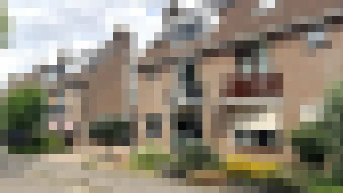 Steur 60 Ridderkerk thumbnail 53