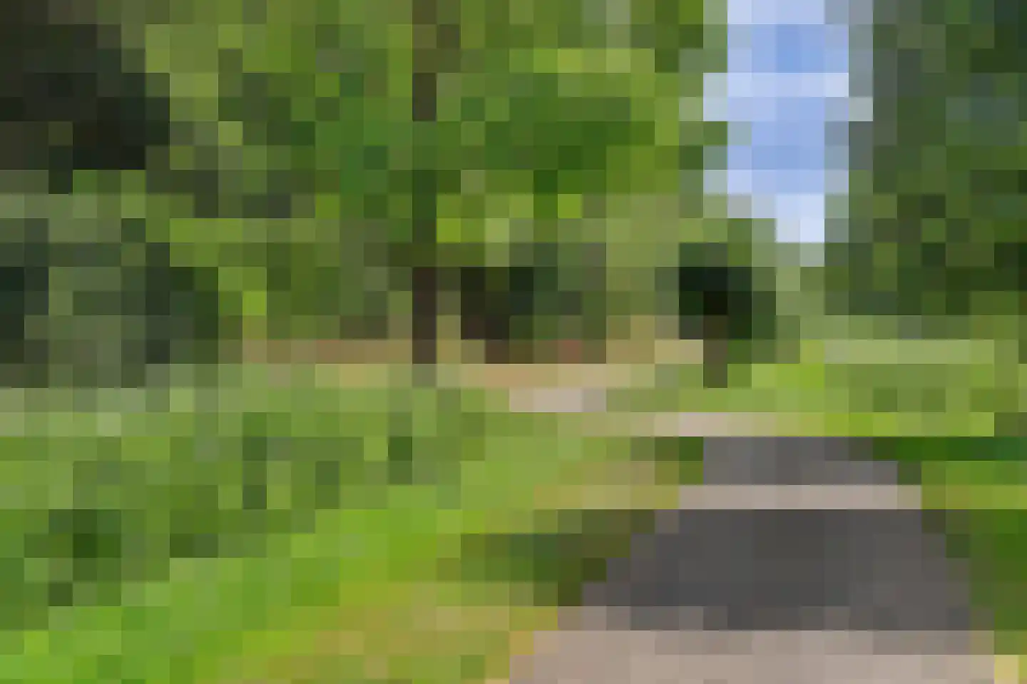 Steur 60 Ridderkerk thumbnail 55