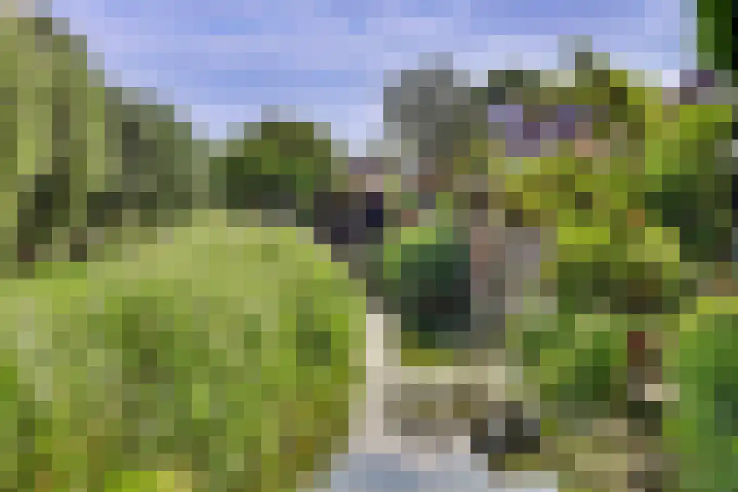 Steur 60 Ridderkerk thumbnail 56