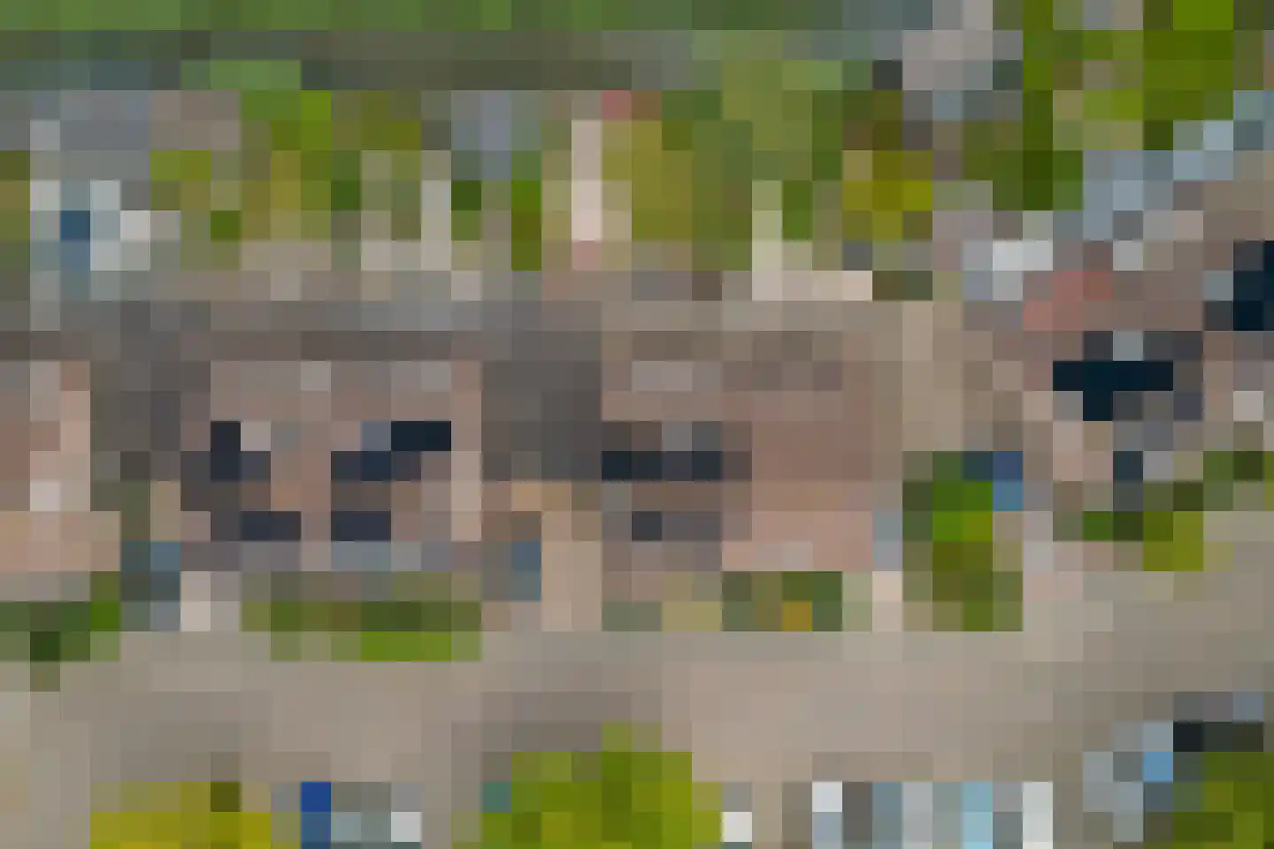 Steur 60 Ridderkerk thumbnail 57