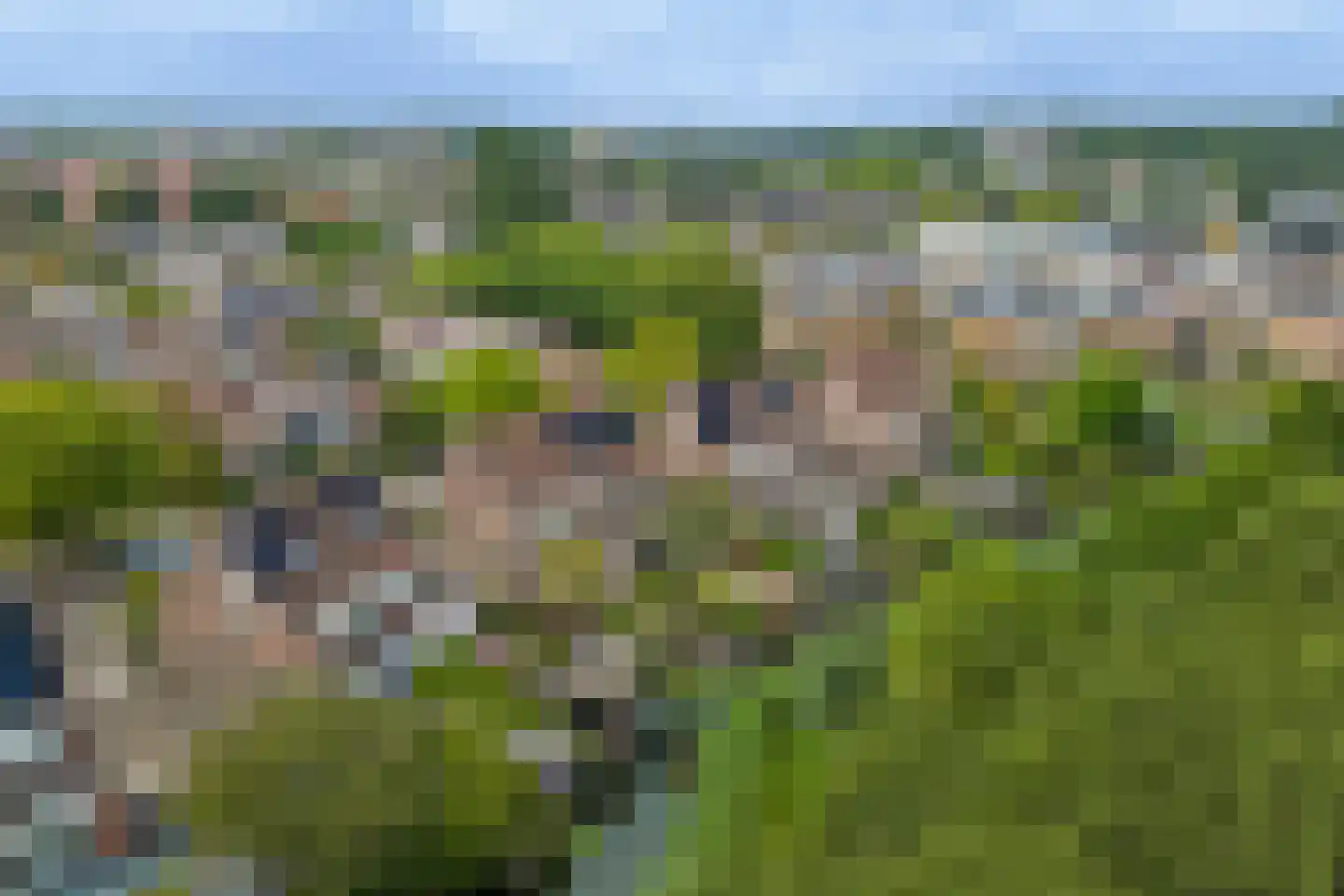 Steur 60 Ridderkerk thumbnail 58