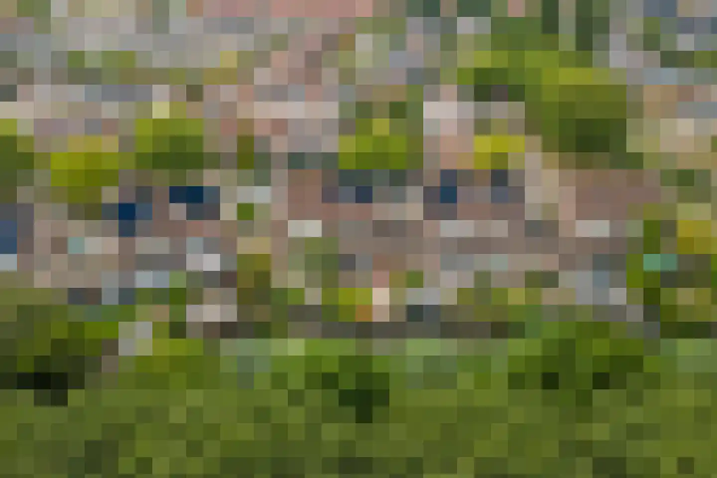 Steur 60 Ridderkerk thumbnail 59