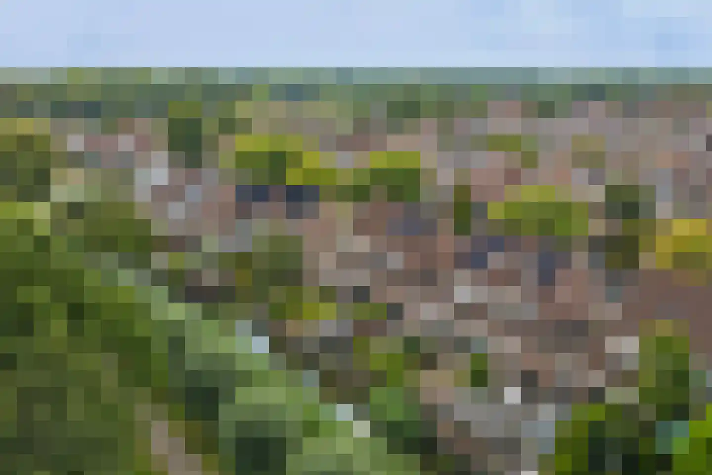 Steur 60 Ridderkerk thumbnail 60